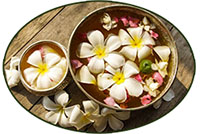 plumeria2