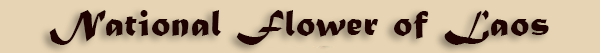 NationalFlower